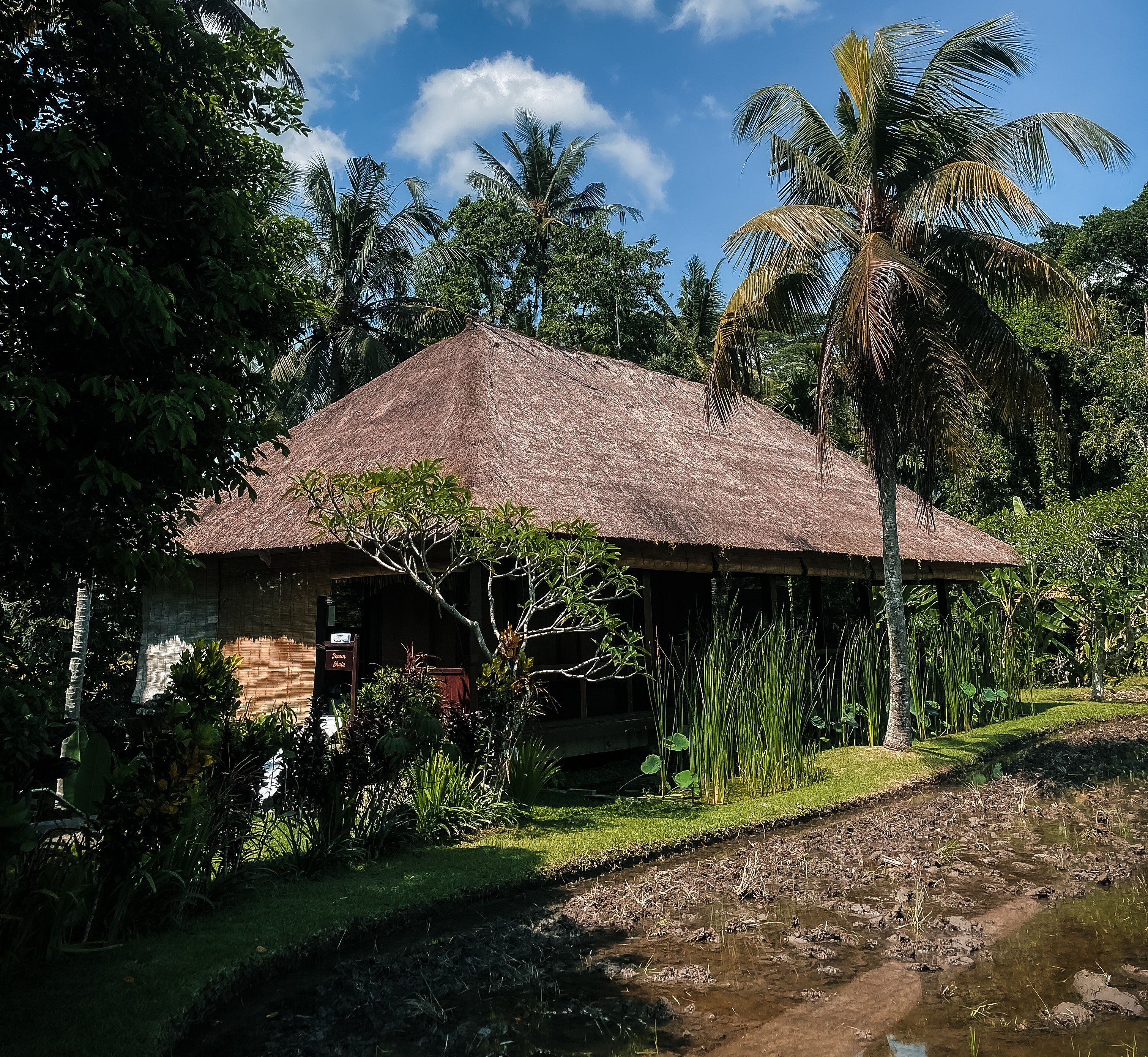 Bali TTC